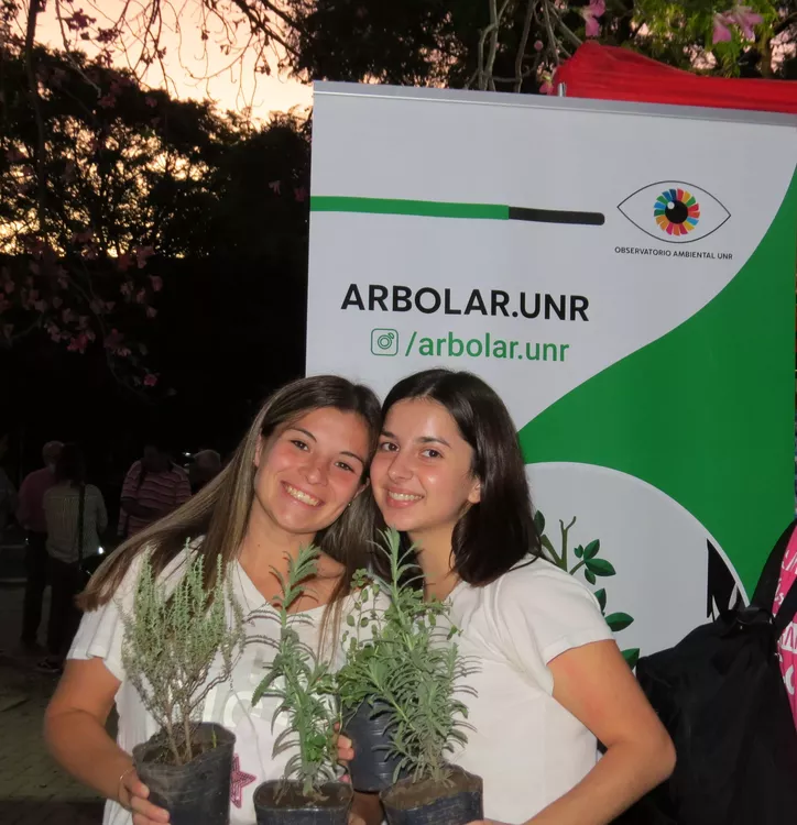 arbolar