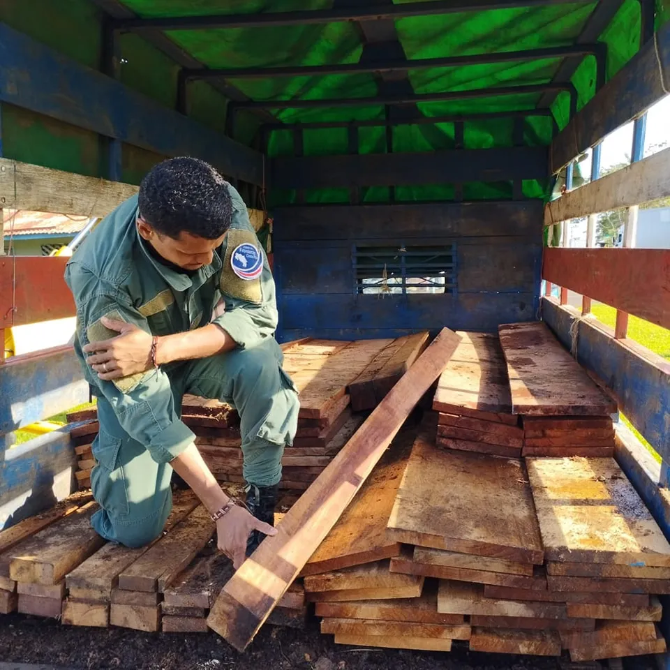 LAT-Environmental-crimes_1