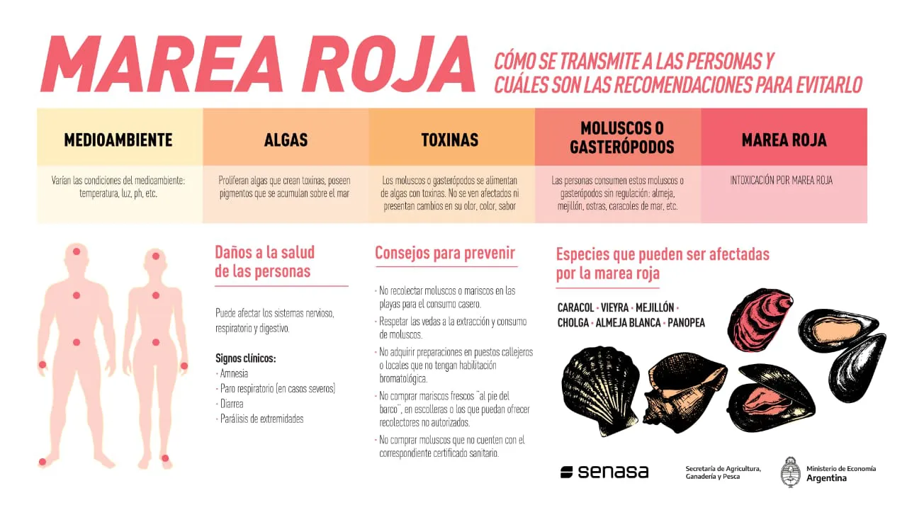 infografia_marea_roja_senasa_2022