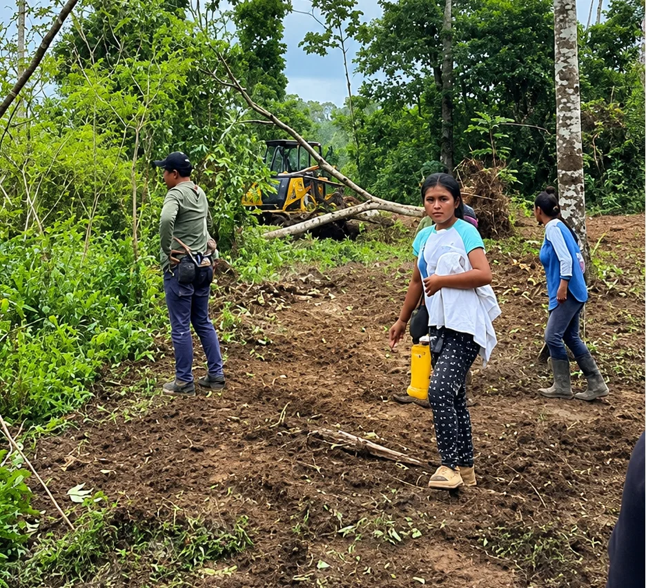 Trabajo forestal en un claro tropical