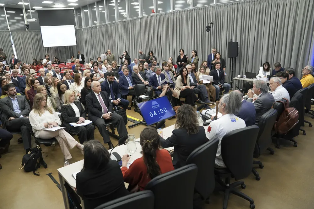 webaudienciapublica25032026e