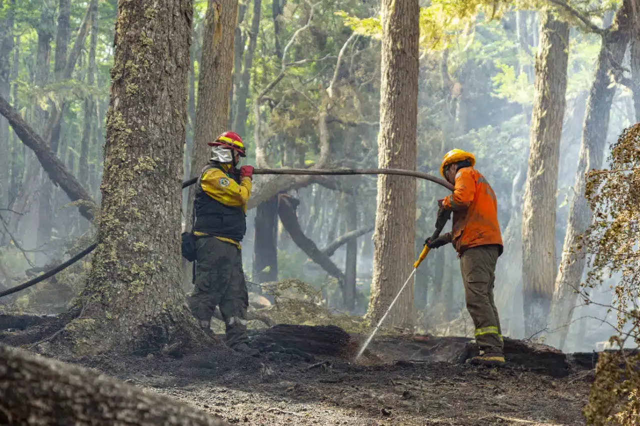 incendios tdf