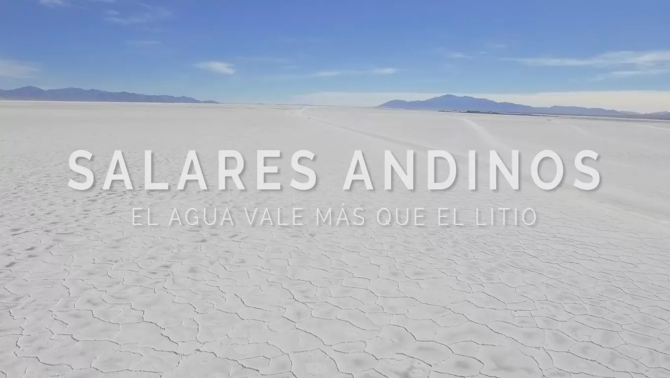 salares