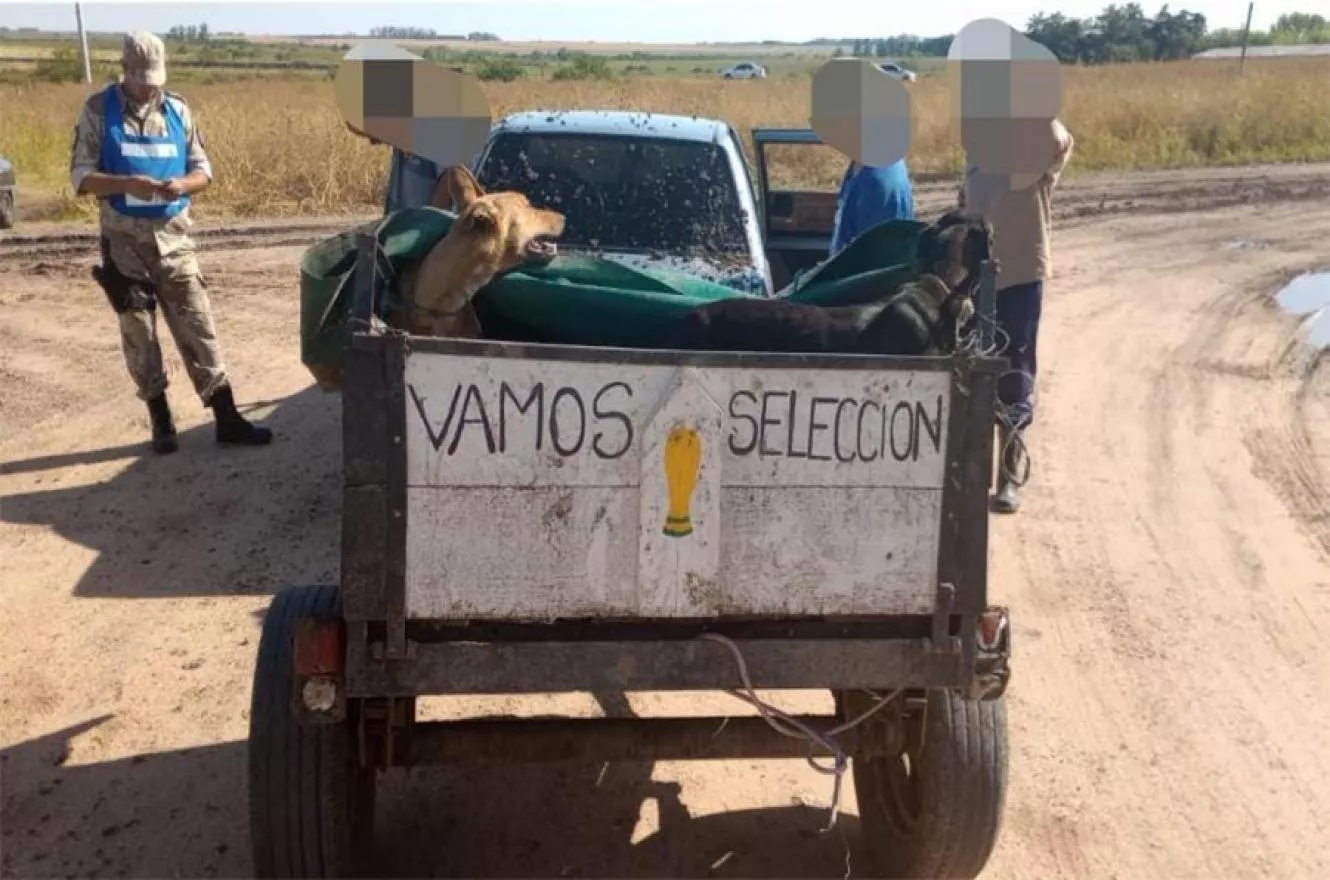 furtivos