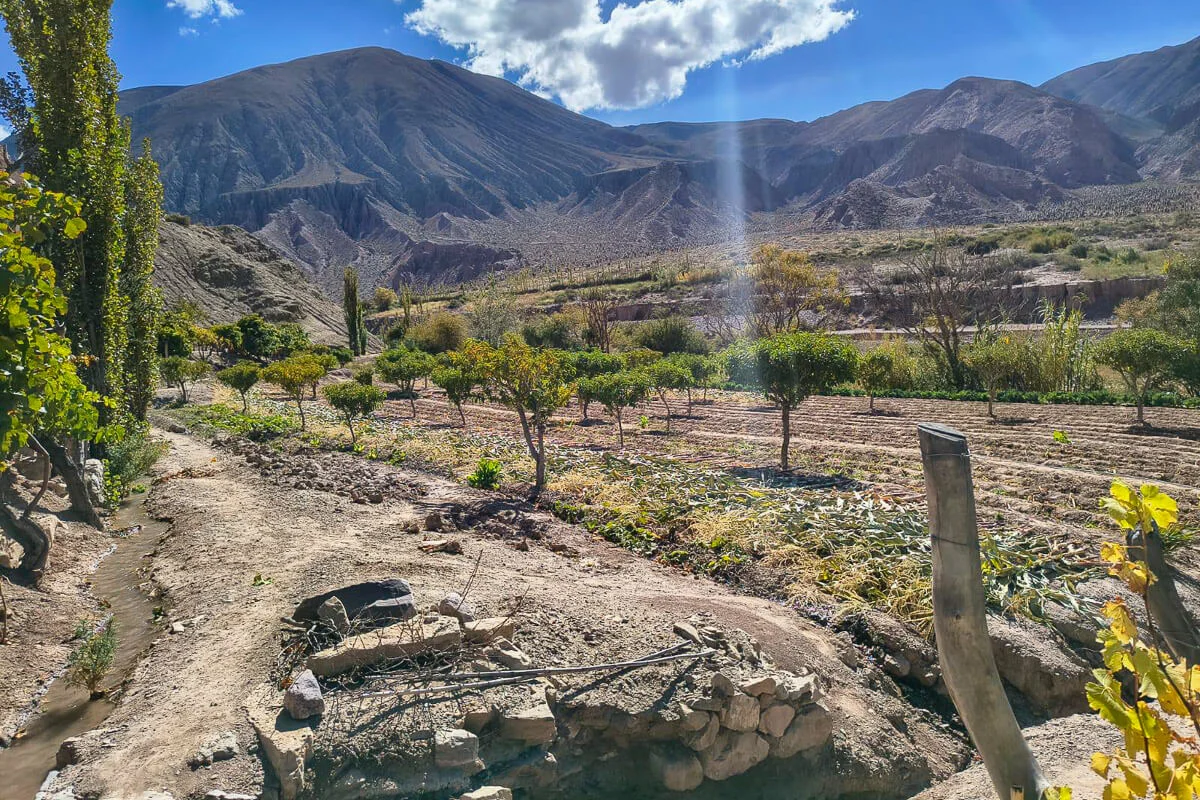 Jujuy-1-de-1-3