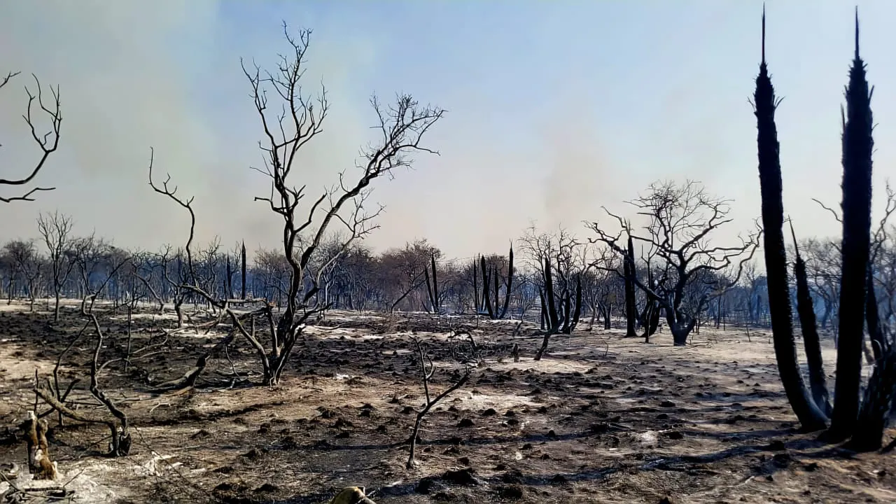 WhatsApp-Image-2024-09-19-at-20.10.22