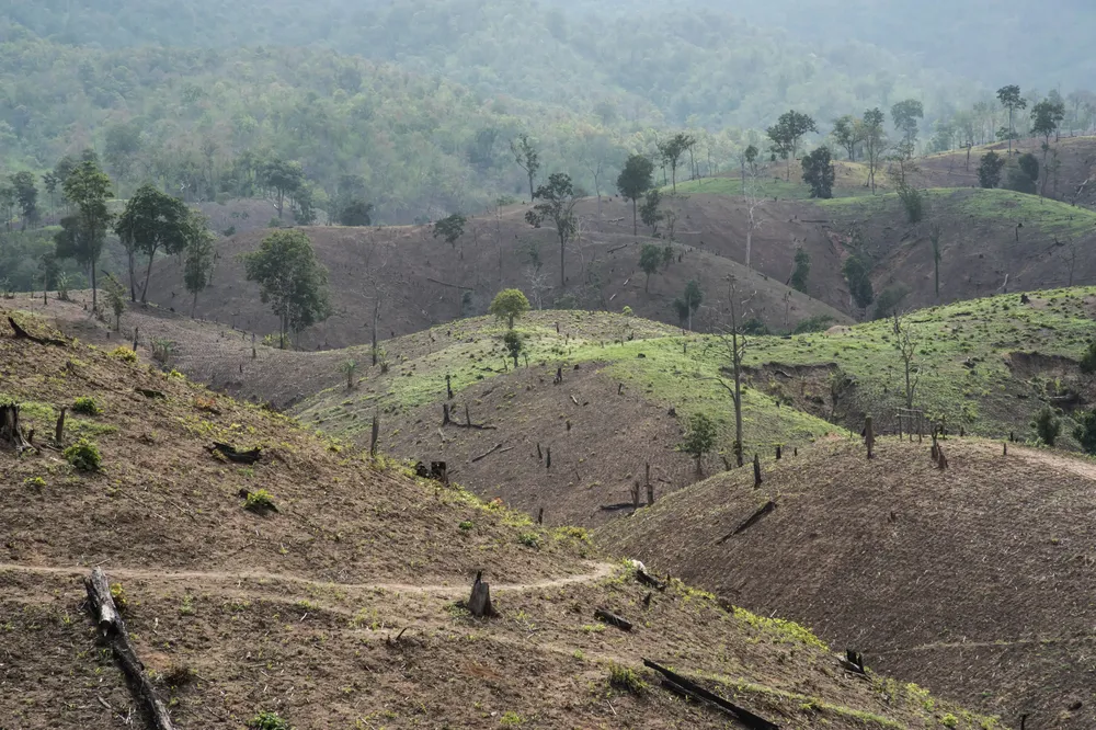 Diseno-sin-titulo-15