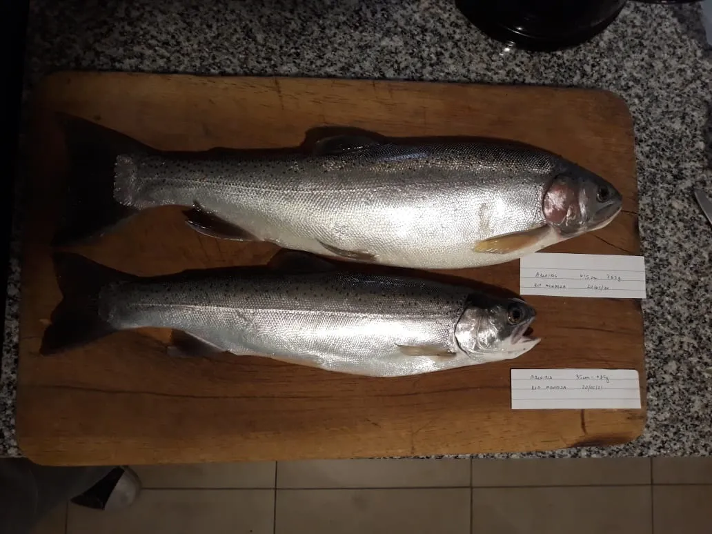 d1a716c9177f7bfe00019935f4785da4