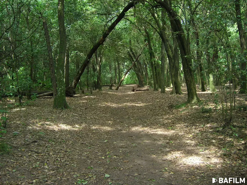 Lomas-de-Zamora-Reserva-natural-Municipal-Santa-Catalina-8