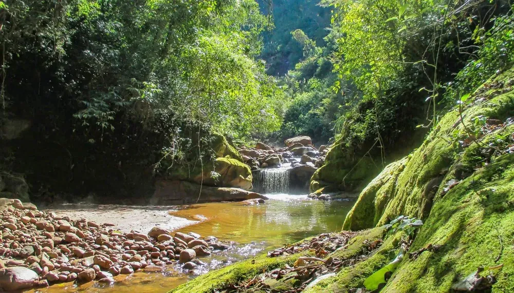 Parque-Nacional-Calilegua (1)