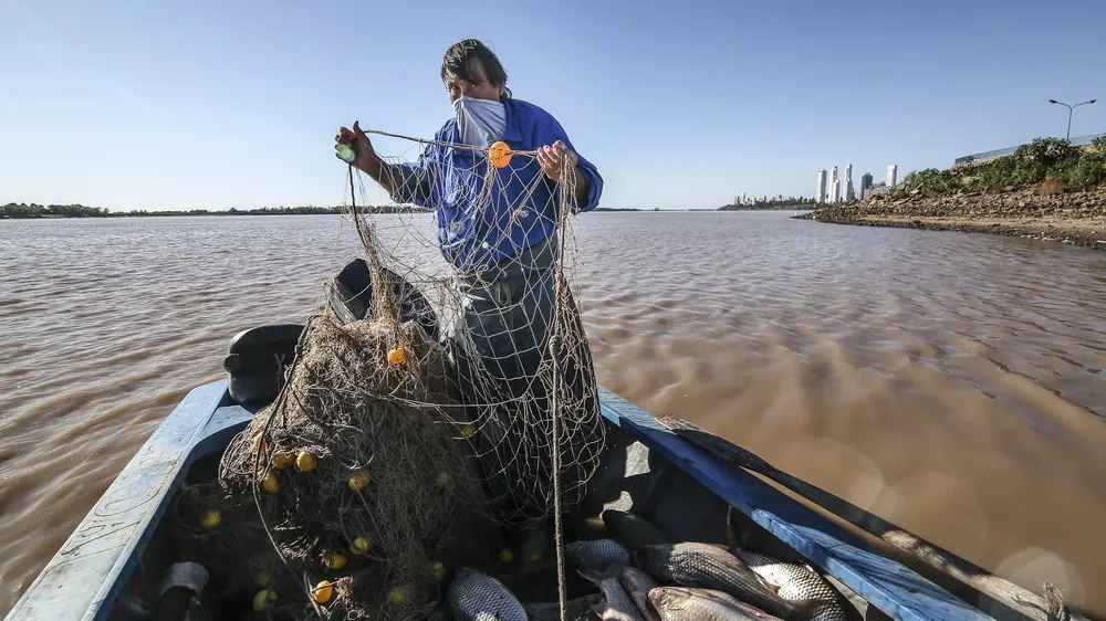 pescadorescuarentena2