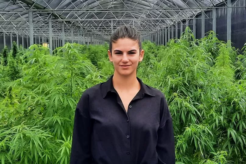 13-02-2022_20-44-28__cannabis.jpg