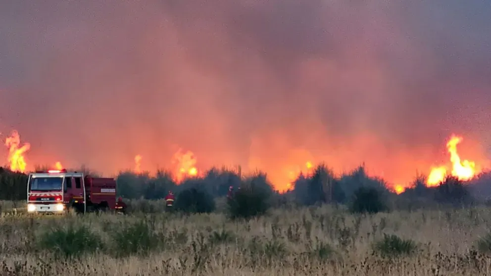 incendui