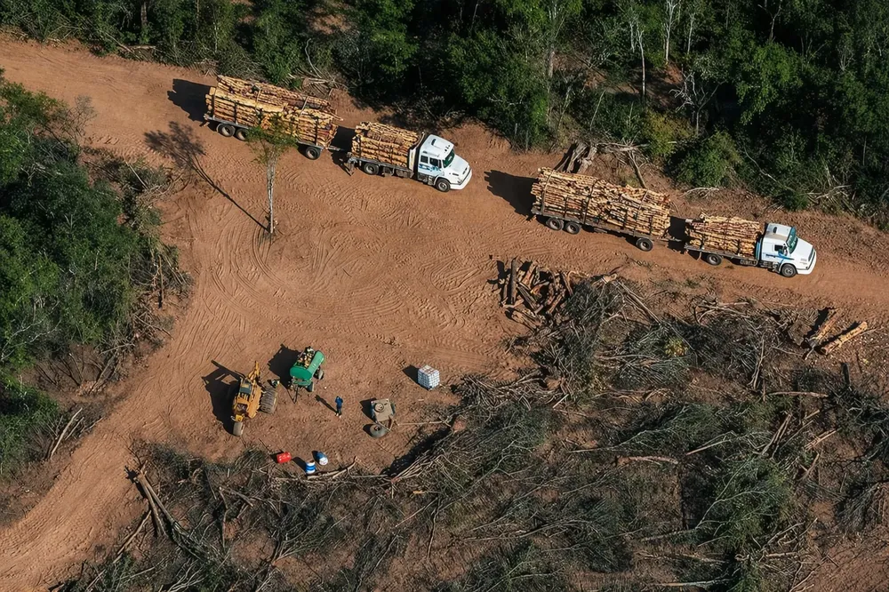 185ab818-c114-4cbf-b87a-df3681f9b488