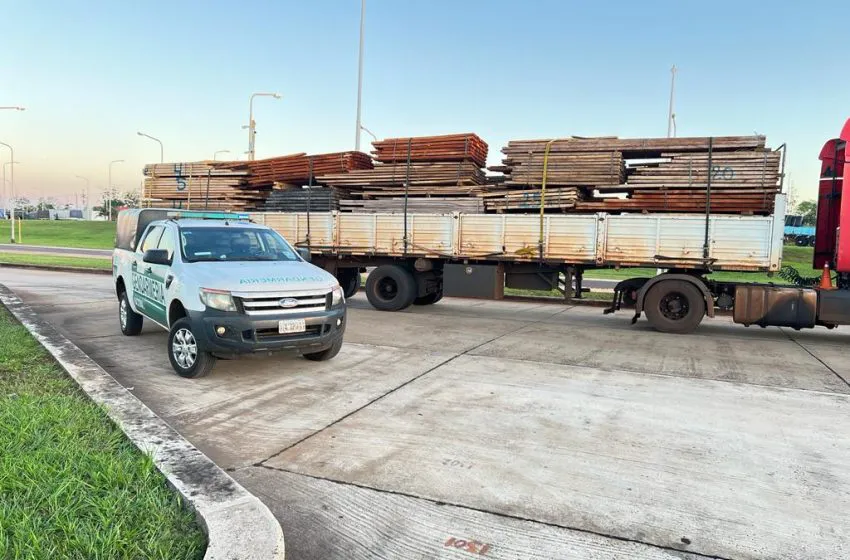Madera-Nativa-Misiones-2-850x560