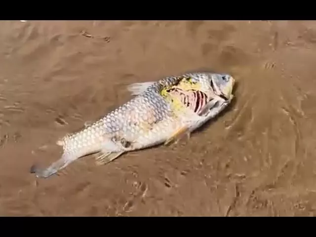 312365681_503496805154909_2869139096577663459_n