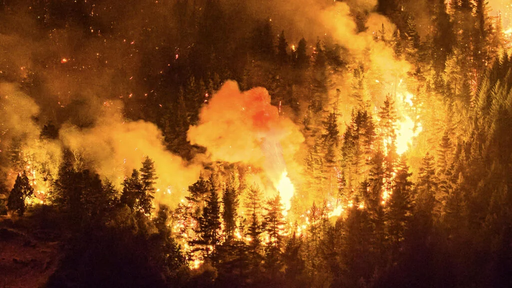 a286efccd69af96dd1e660fe826aefde746d1acb (1)