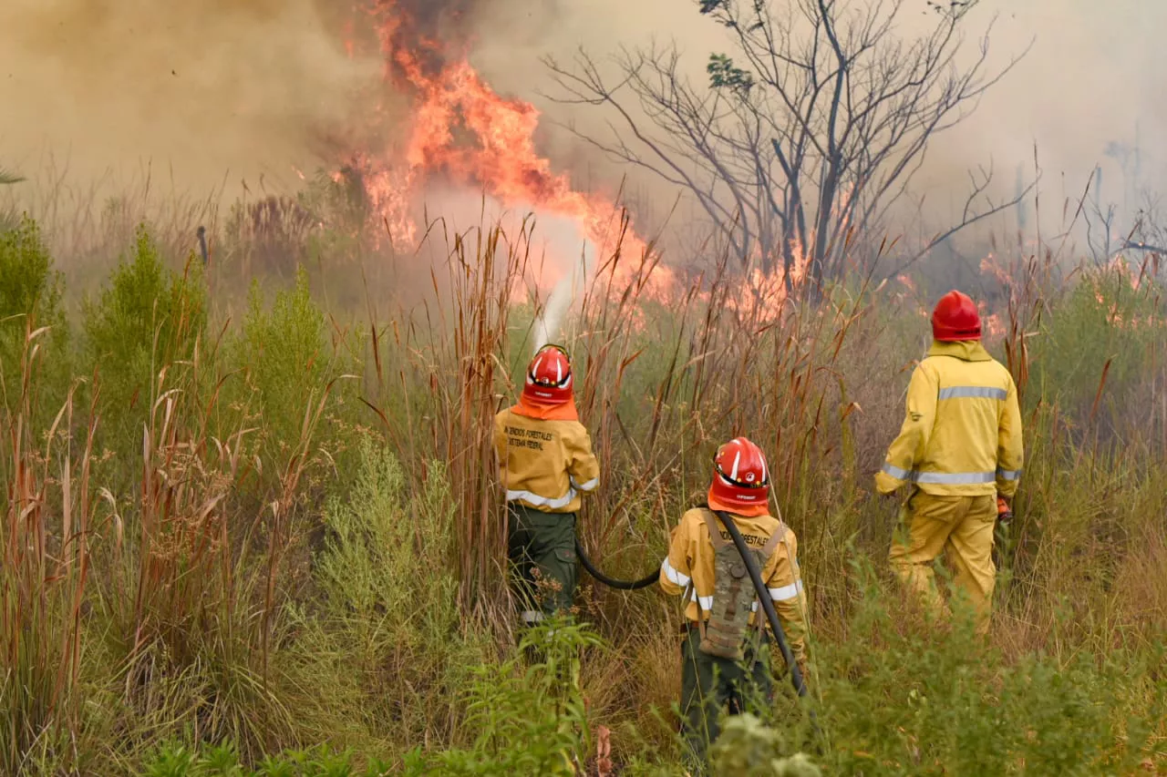 trabajo_coordinado_fuego_pn_ibera_01