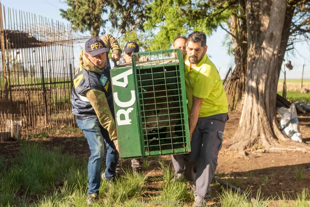 whatsapp_image_2024-11-21_at_09.17.29