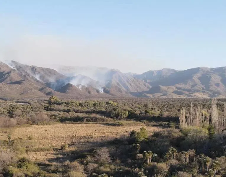 369975859_683866907092795_201791809992840335_n-765x600