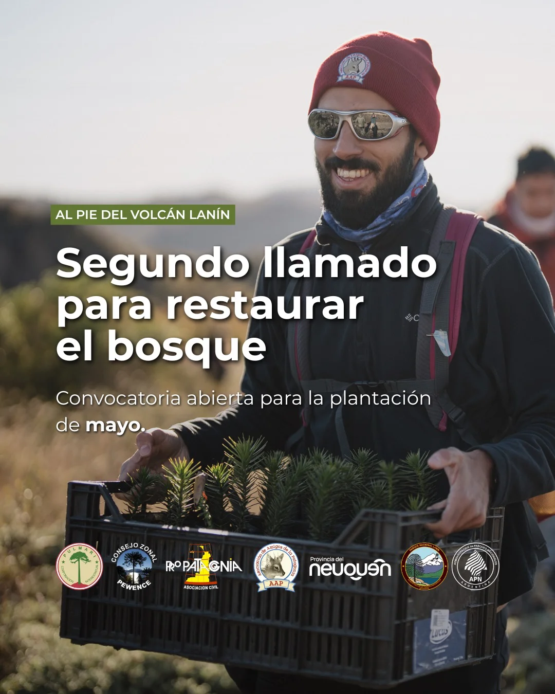 SaveClip.App_684115377_18457385815108067_8061254713295269378_n