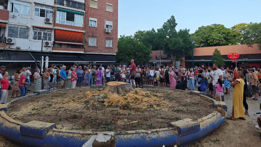 ARBOL-LA-PAZ