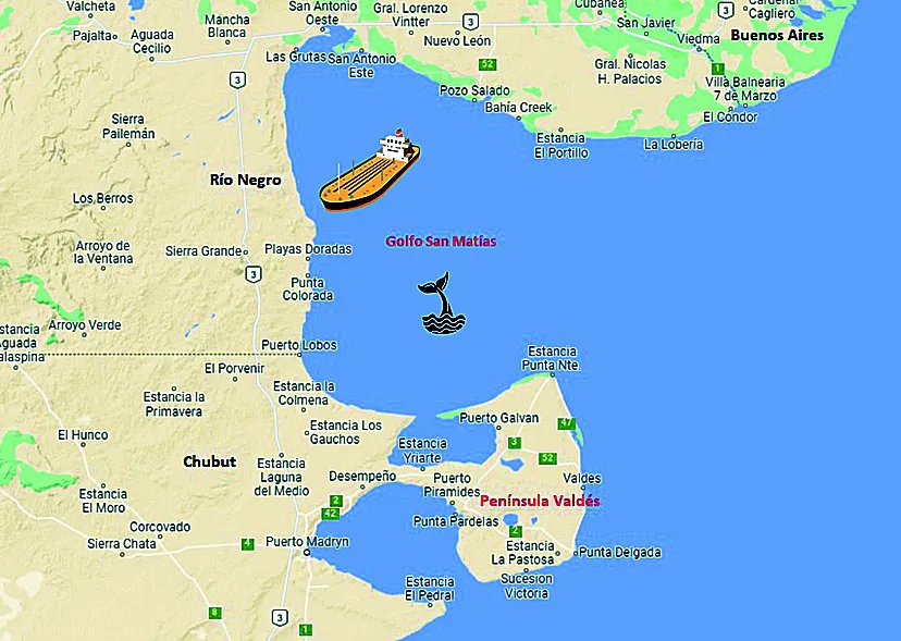 Golfo-San-Matias-Oleoducto-Vaca-Muerta-Sur-Petroleras-en-el-mar-YPF