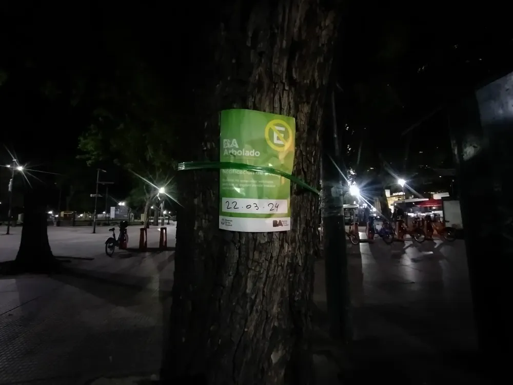 WhatsApp Image 2024-03-21 at 9.25.34 PM (1)