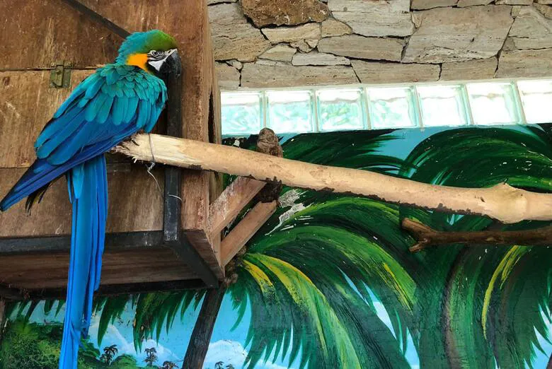 una-de-las-especies-rescatadas-en-DK5PFYX7BJE2FC6MQGJUAWJJGY