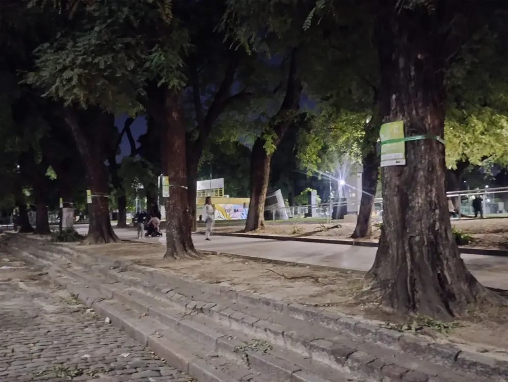 WhatsApp Image 2024-03-21 at 9.32.21 PM