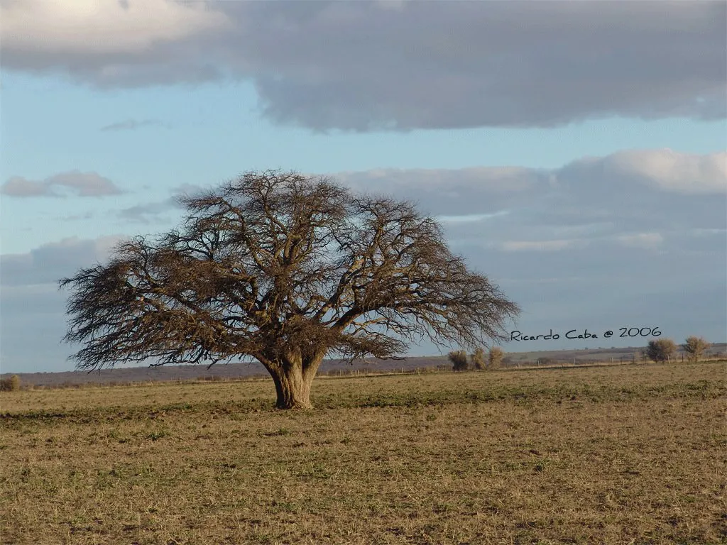 499155369_1288359033298653_1667376402061563528_n