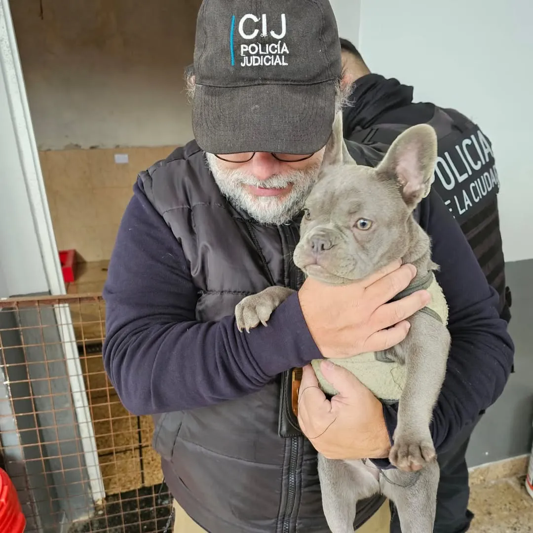 La Unidad Fiscal Especializada en Materia Ambiental (UFEMA), a cargo del Dr. Blas Matías Michienzi, clausuró un criadero ilegal de perros en el barrio de Villa Urquiza de esta Ciudad.La causa se originó por tar (1)