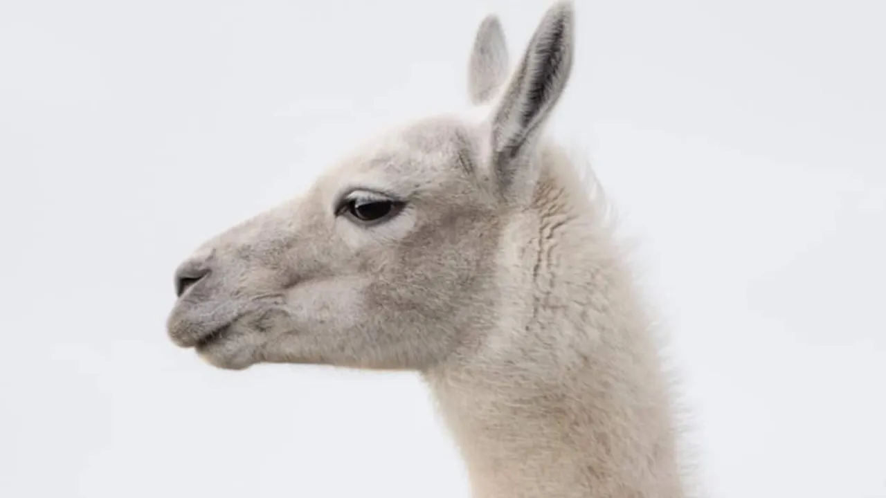 Diseno-sin-titulo-2023-06-12T095248.697