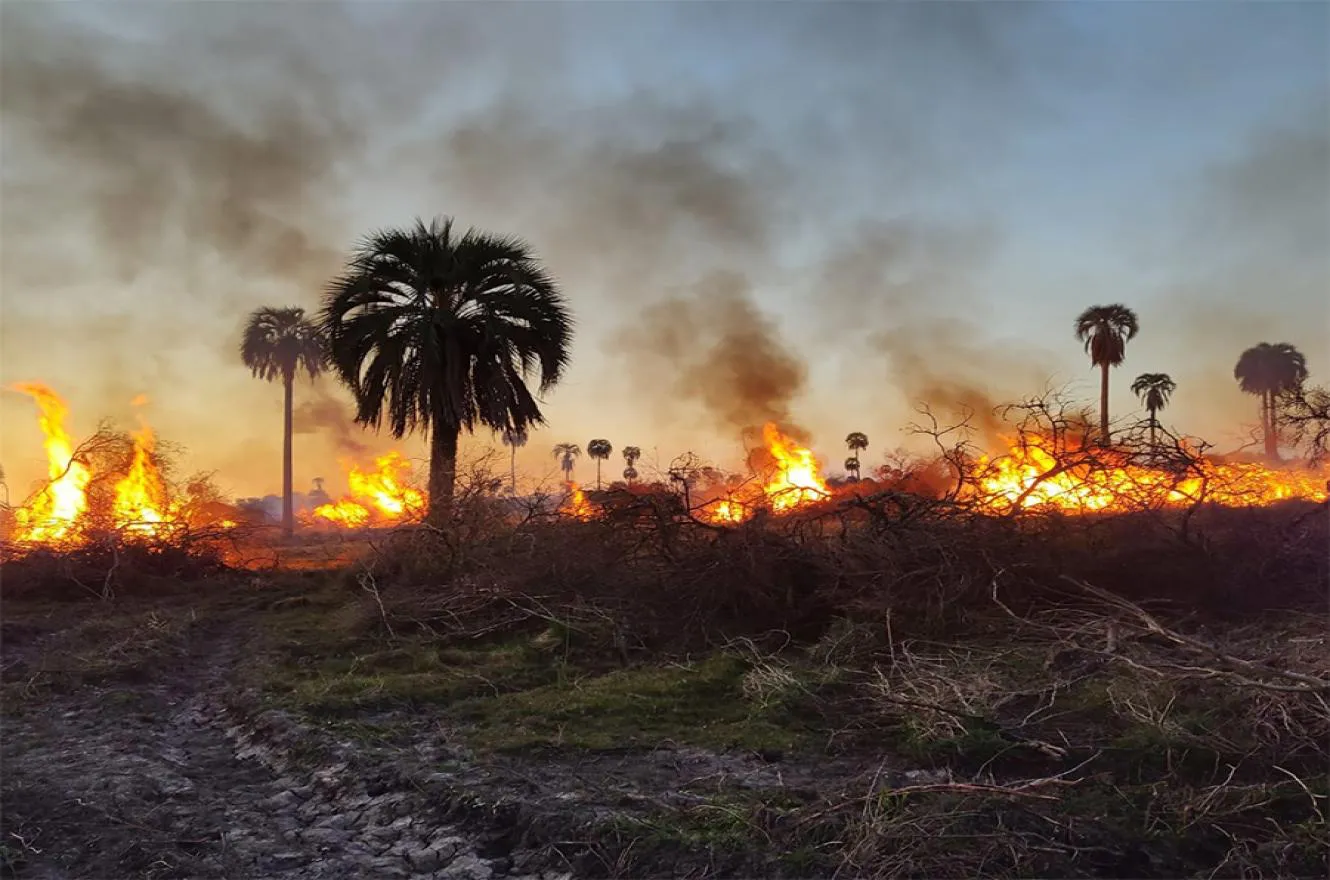 incendios_federal