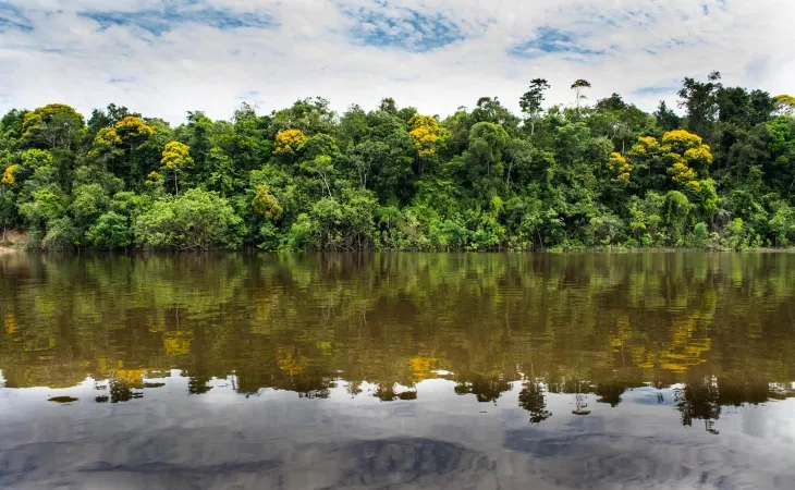 amazonía visión amazonía
