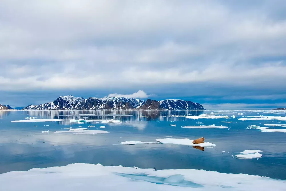noruega