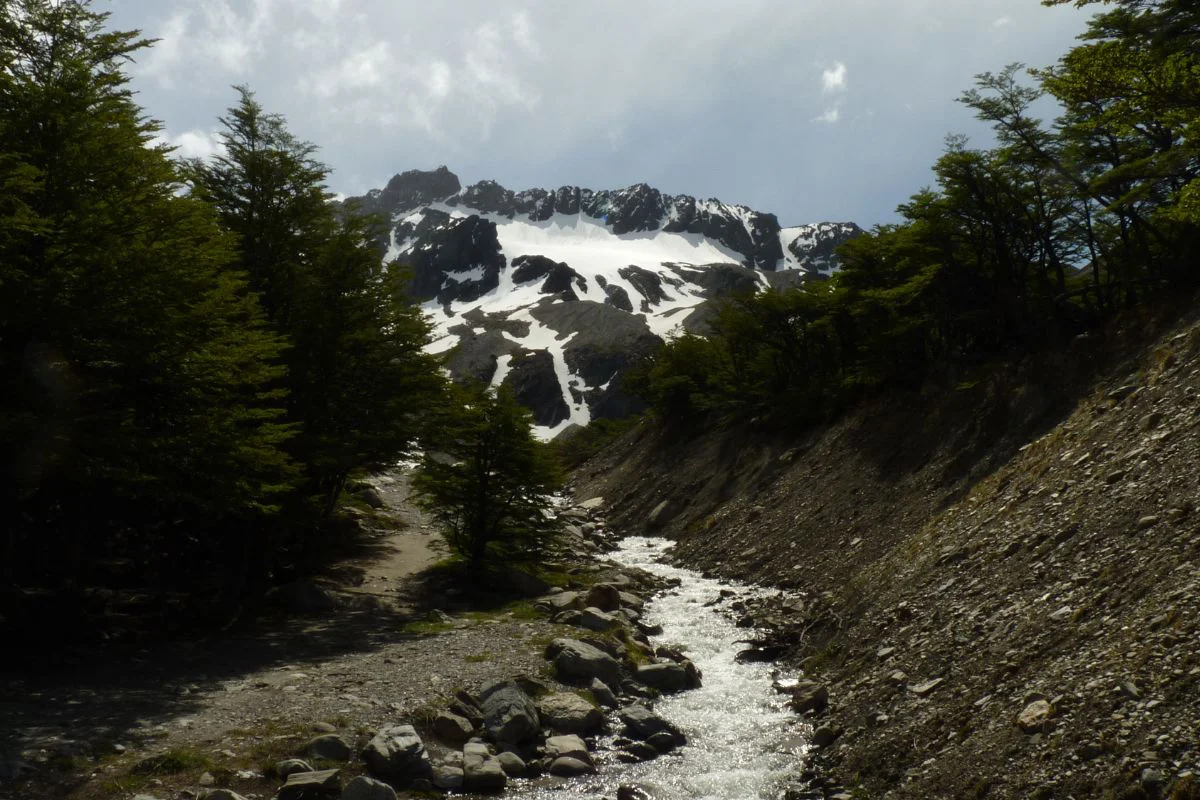 Diseno-sin-titulo-78