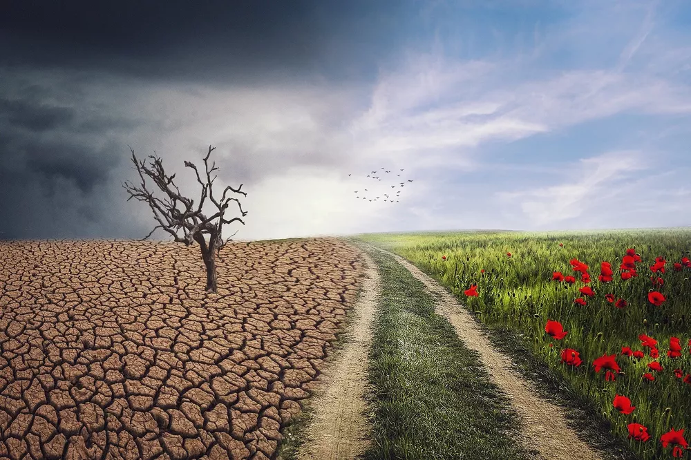 trailerdelcambioclimatico