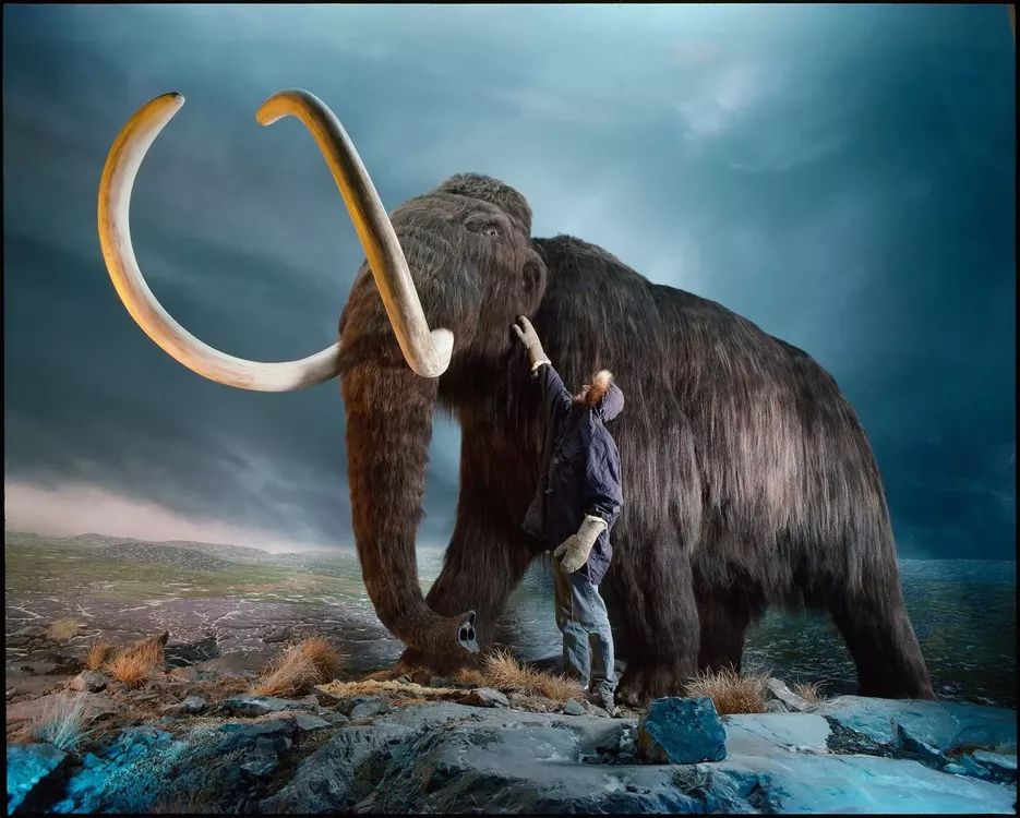 01_booktalk_mammoth
