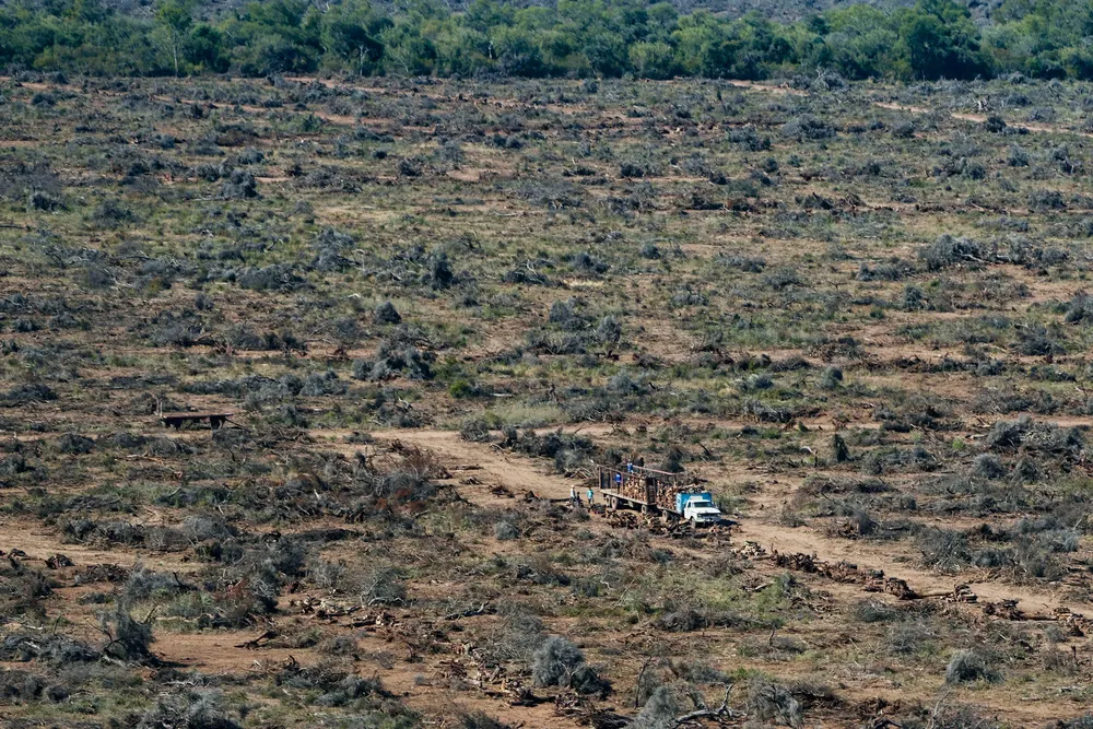 deforestacion-chaco-infocampo-2