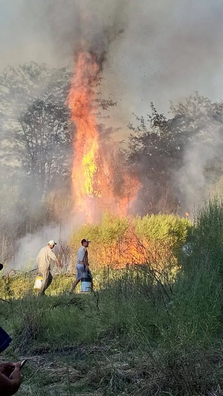 476385025_1075819874560270_6658964547684081887_n