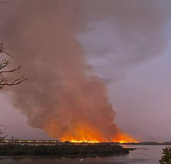 incendios-islas-santa-fe-5