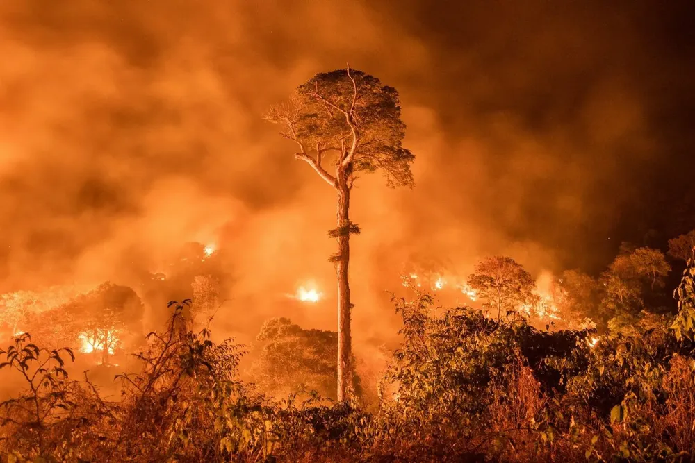 nationalgeographic_2724573