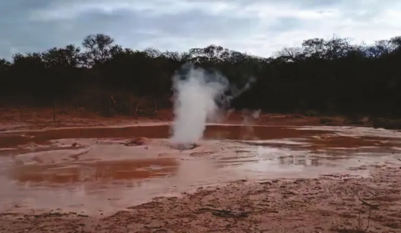 pagina-10-abajo-780x470