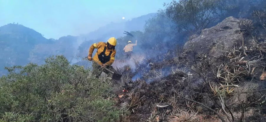 1107incendios-1384592